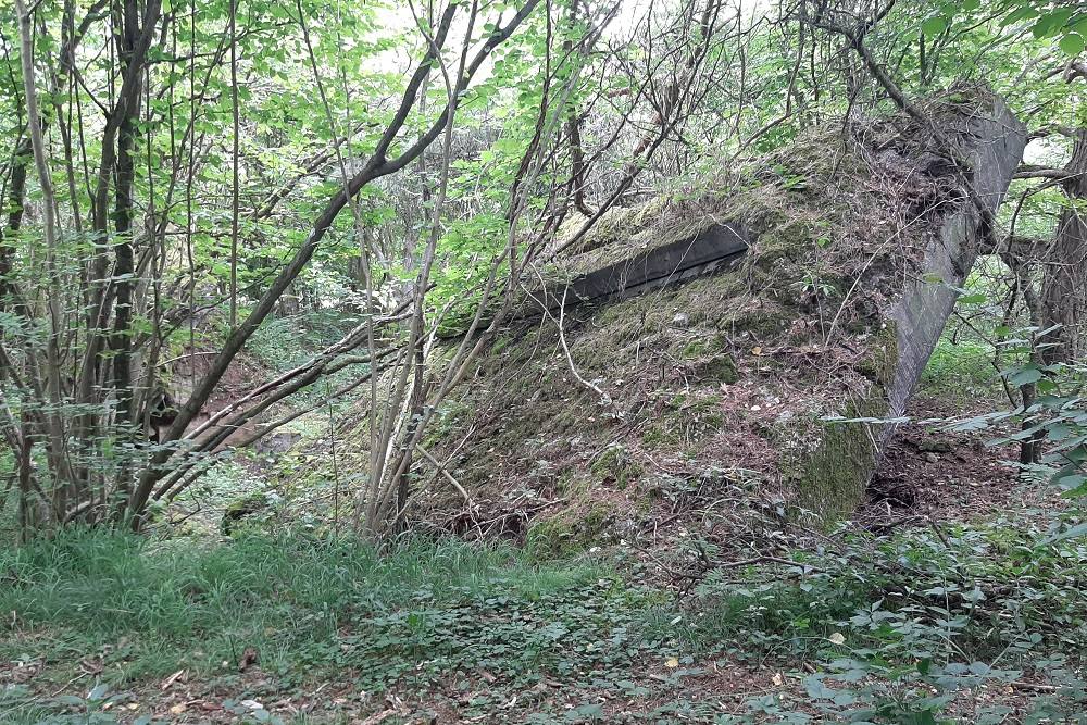 Flakstellung Zingsheim Bunker 2 #1