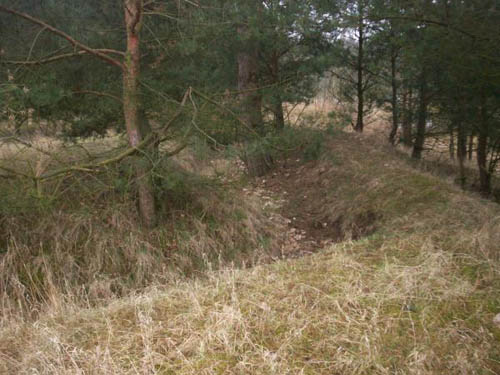 Festung Thorn - German Trench Nowy Dwór