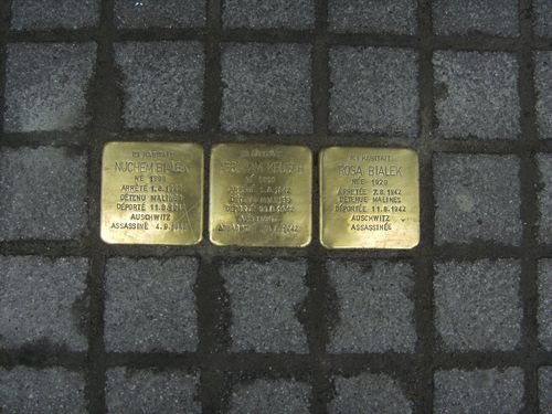 Stolpersteine Rue de la Rgence 60 #1