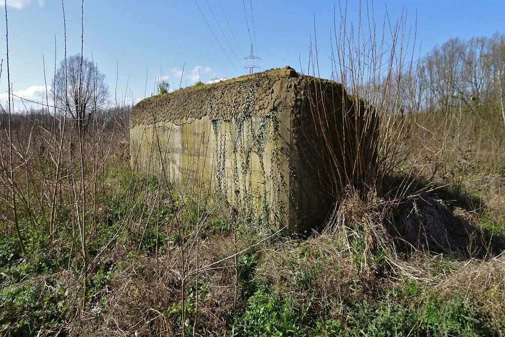 Bunker M2a Oelegem