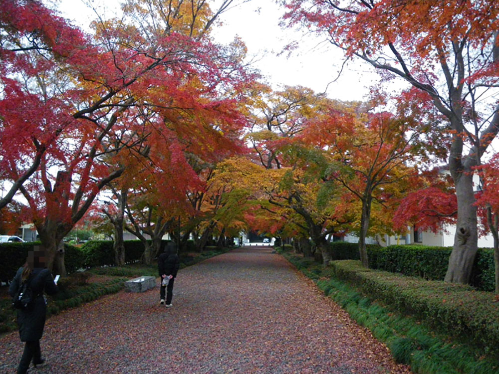 Grave Memorial Field Marshal Oyama Iwao