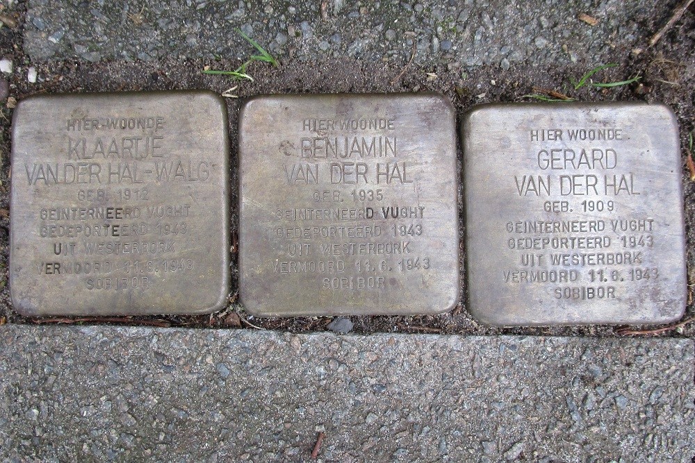 Stolpersteine Petrarcalaan 73 #1