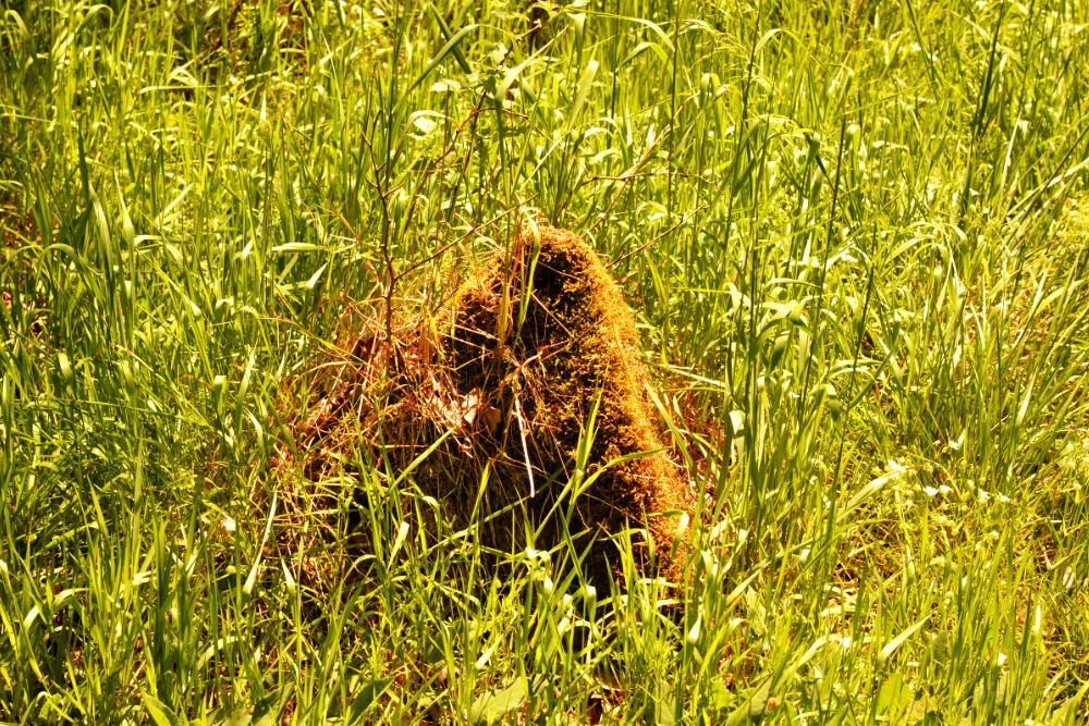 Sperre Fuhrtsbachtal #3