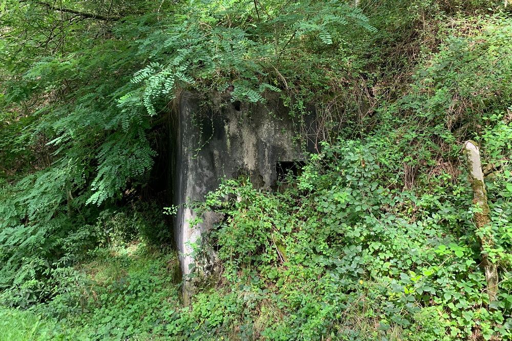 Bunkers WW2 Chevron #3