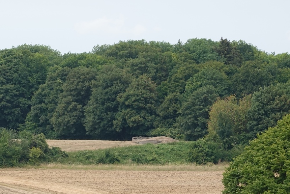 Remains Bunker 255 #2