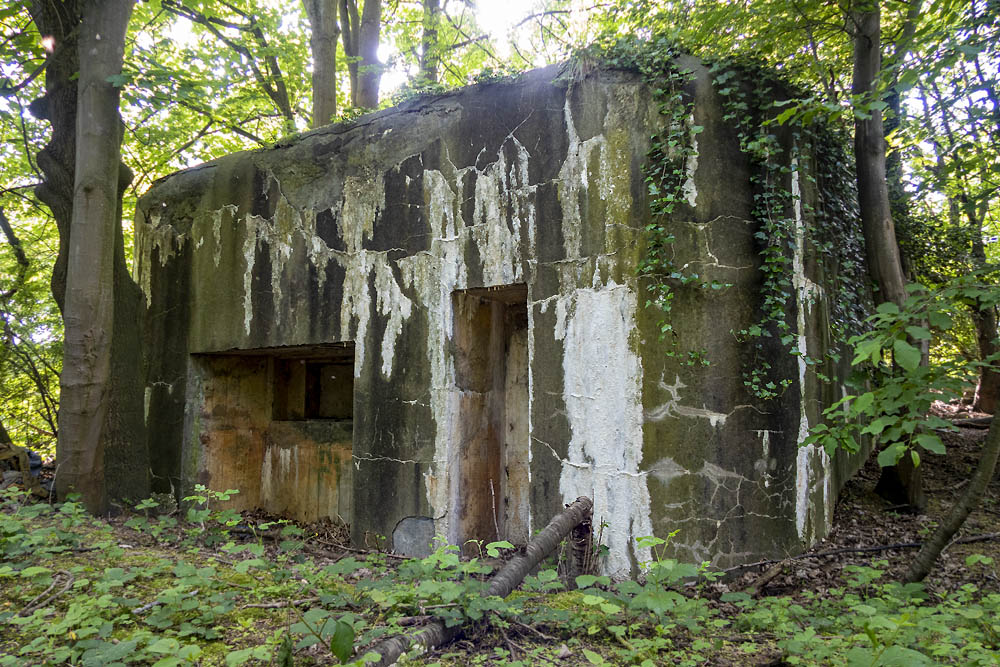 Belgische Bunker Zuid-Willemsvaart (BN4)