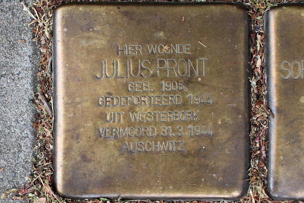 Stolpersteine Snelliuslaan 13 #2