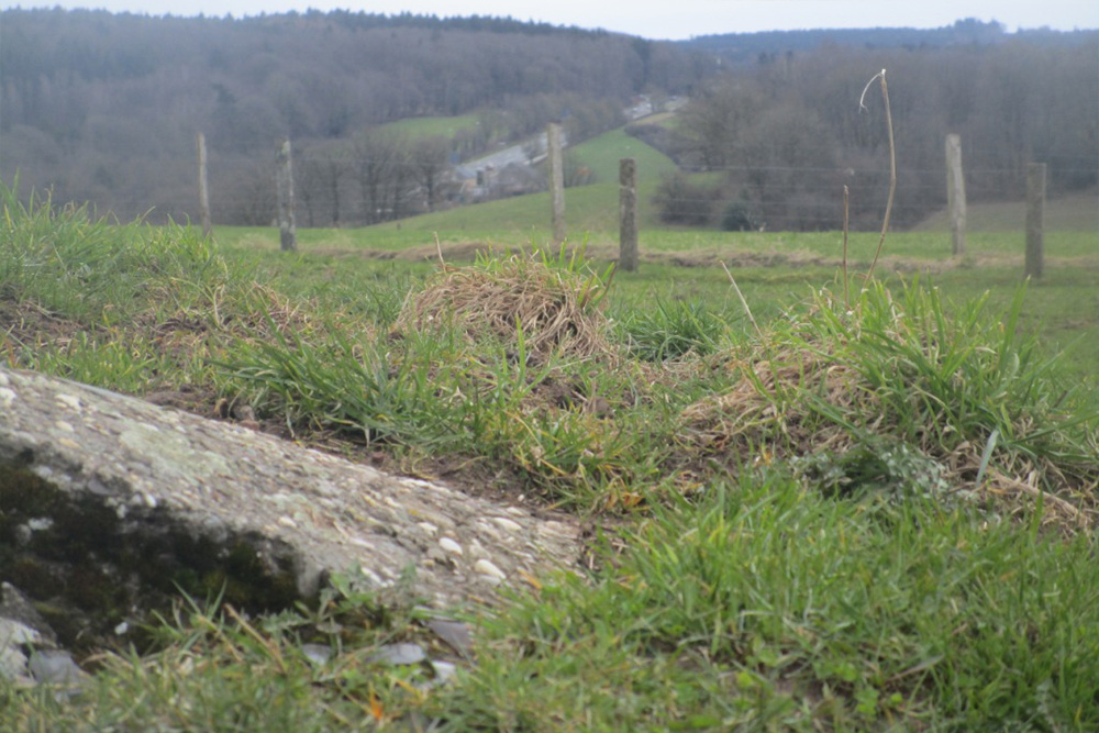 Westwall - Bunker Remains #3