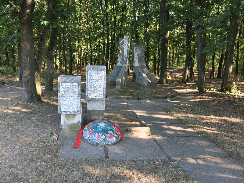 Memorial Killed Partisans Lunjevačka uma #1