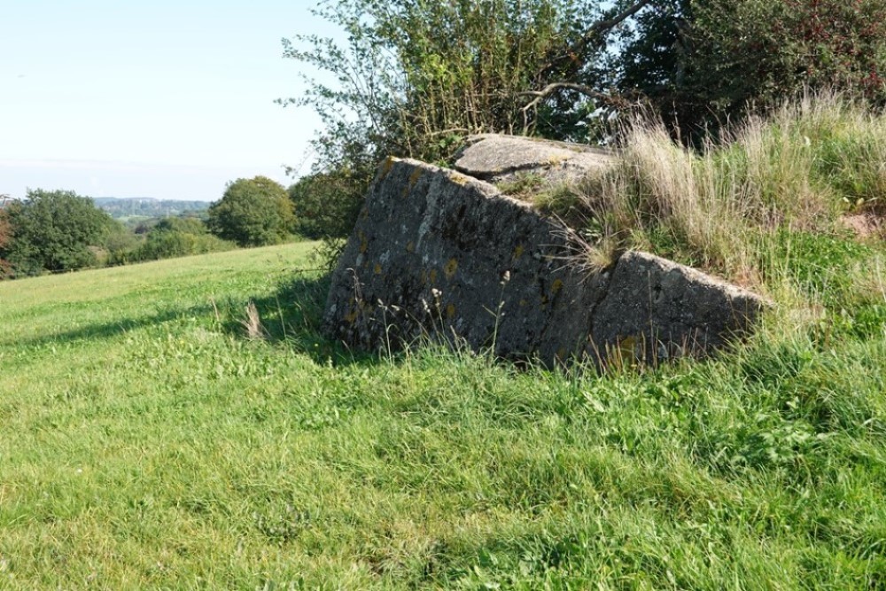 Remains Westwall-Bunker 1414 #2