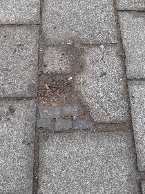 Stolperstein Aachener Straße 65 #2