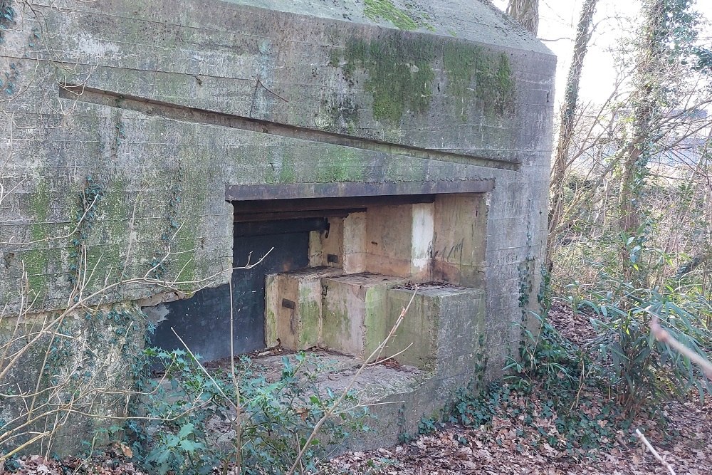 Pantherstellung - Bunker R009-P #4