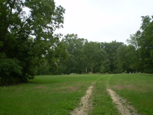 Oorlogsgraf van het Gemenebest St. Paul Cemetery