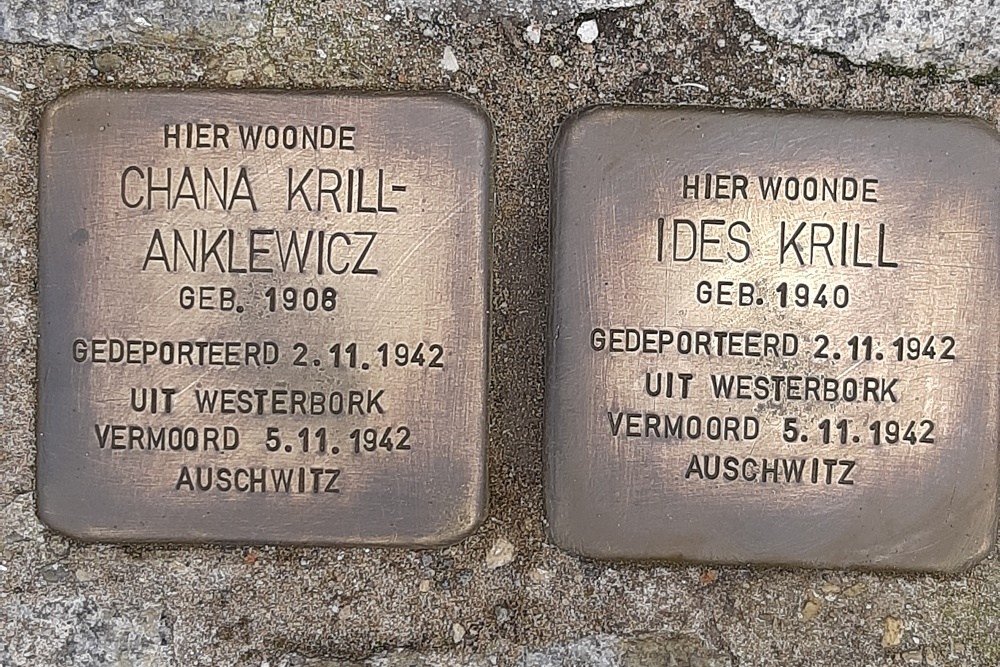 Stolpersteine Onder de Boompjes 65