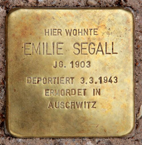 Stolpersteine Am Fuchspa 22 #3