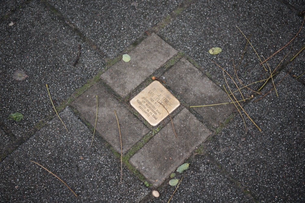 Stumbling Stone Nieuwe Binnenweg 42 #4