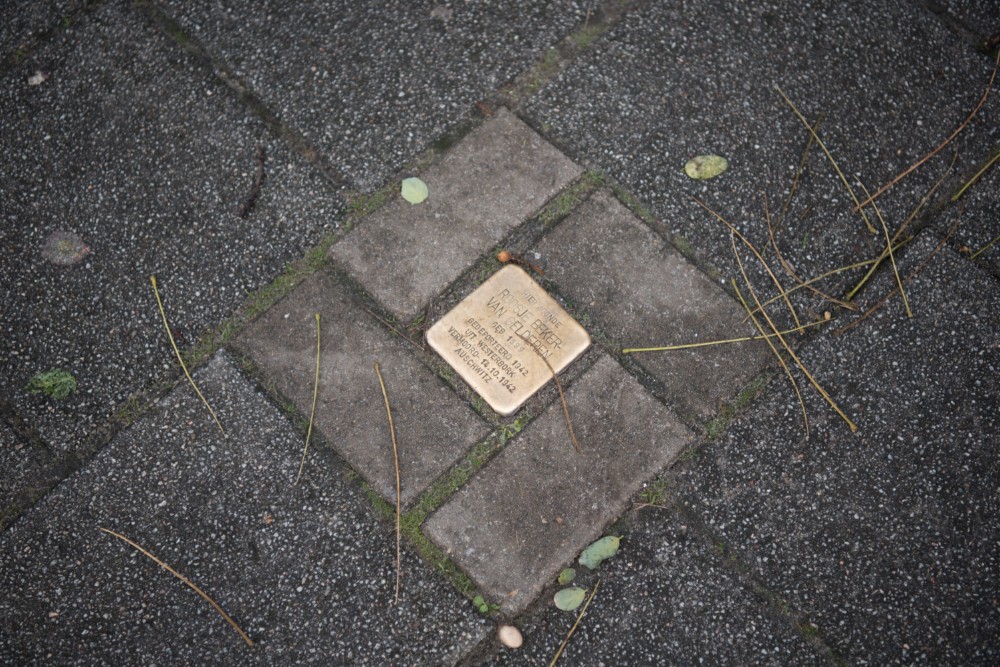 Stolperstein Nieuwe Binnenweg 42 #3