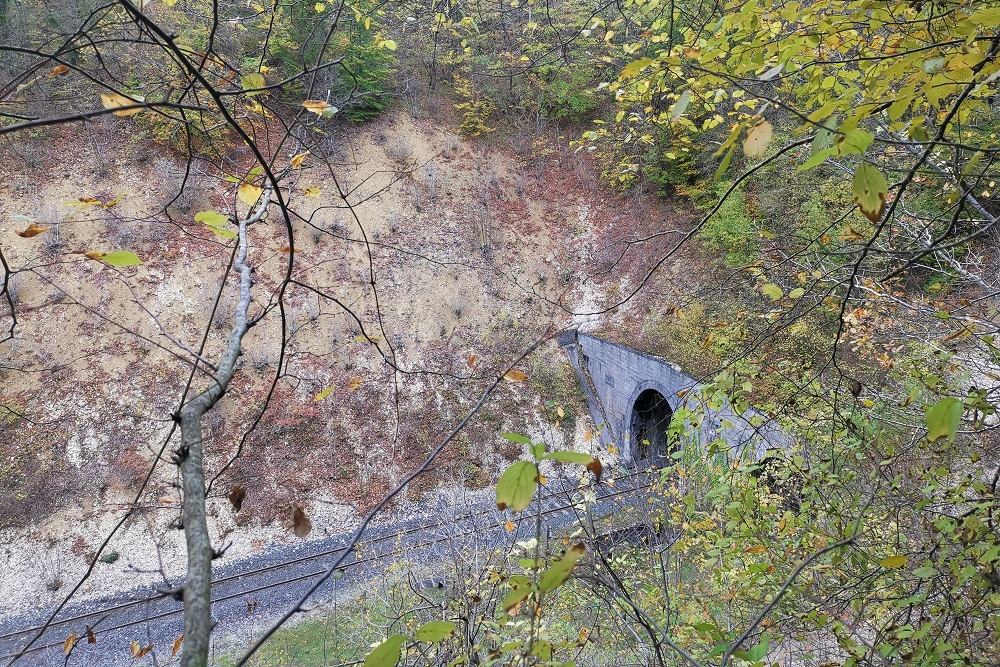 Tavannes Tunnel #1