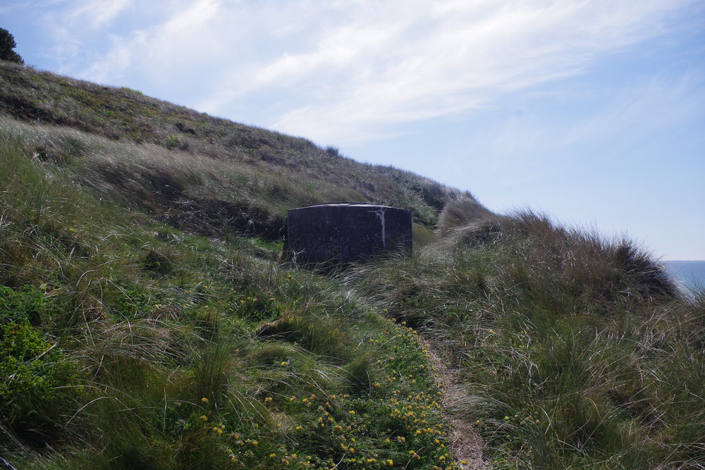 Atlantikwall Coastal Battery Pointe du Raz #5