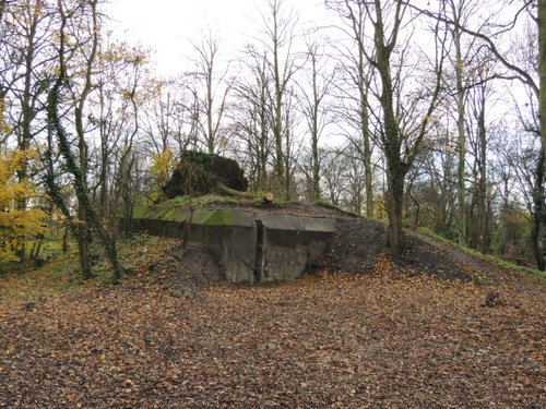 Bunker 4 Sttzpunkt Brnhild 'Park Toorenvliedt' #1