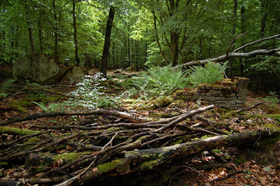 Rune Kazerne Biesenberg #1