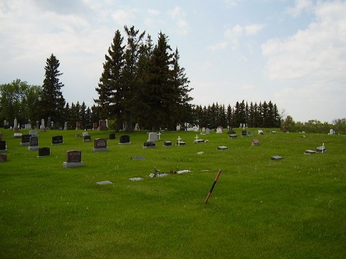 Oorlogsgraf van het Gemenebest Ninga Cemetery #1