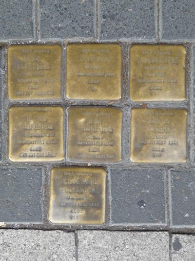 Stolpersteine Drususgasse 11