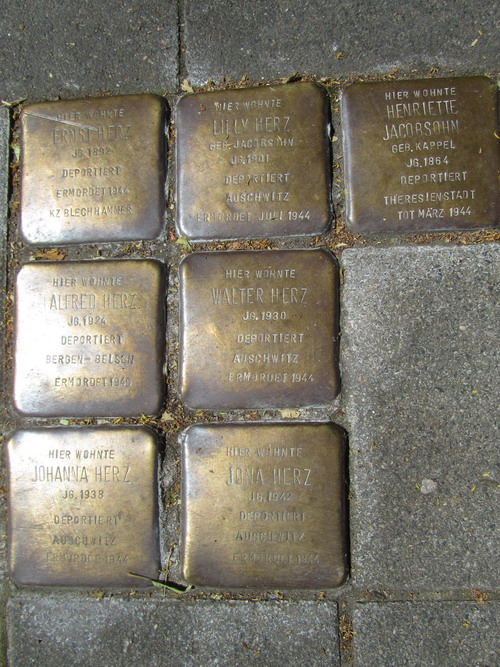 Stumbling Stones Neue Maastrichter Straße 3 #4