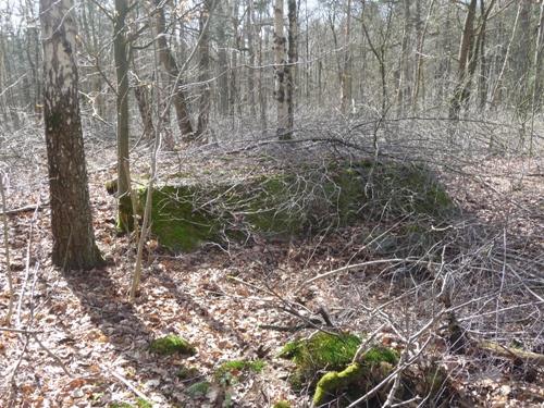 Group Shelter Type 1918/I De Fransche Kamp #1