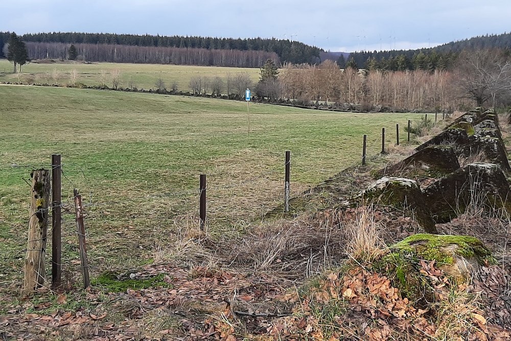 Westwall - Tank Barrier Hollerath #2