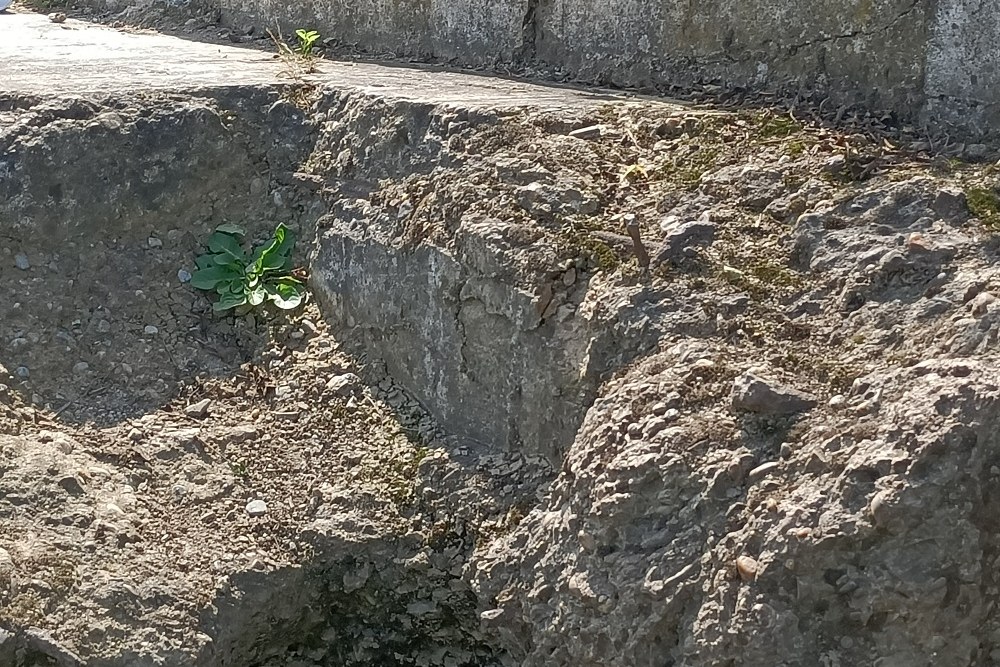 River Casemate North #4