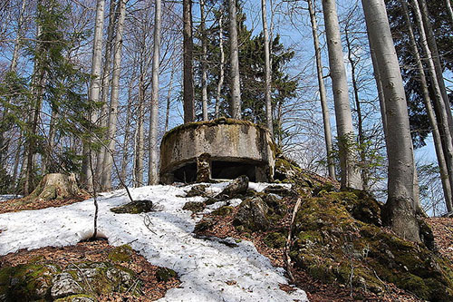 Rupnik Line - Casemate