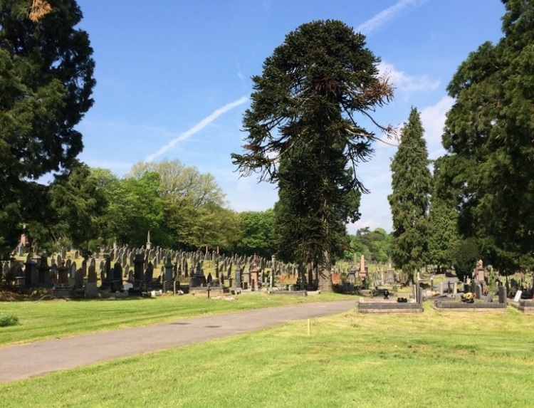 Oorlogsgraven van het Gemenebest Aberdare Cemetery #1