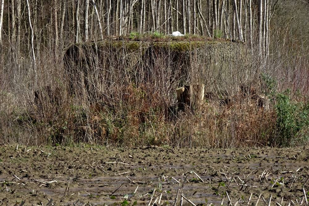 Bunker M2a Oelegem #2