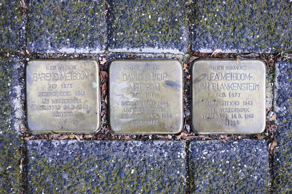 Stolpersteine De Buurt 24 #1