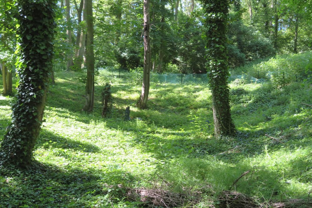 Forest de Wallieux Soyécourt #4