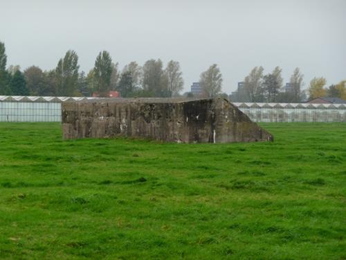 Groepsschuilplaats Type 1918/II Waijensedijk #1