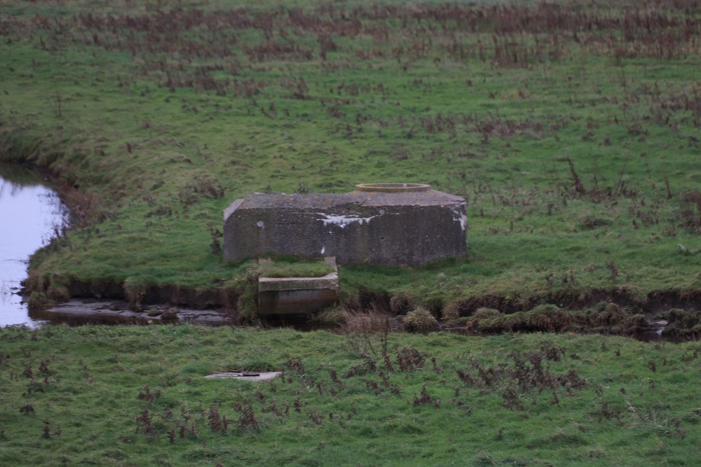 Flugfeld Bergen - Ringstand Tobruk Bunker #2