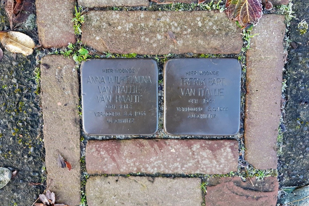 Stolpersteine Laan van Nieuwenhove 5