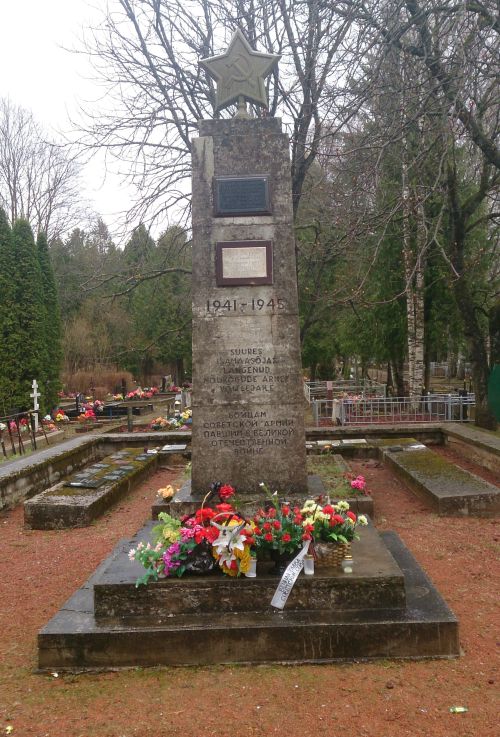 Mass Graves Soviet Soldiers Sinime #4