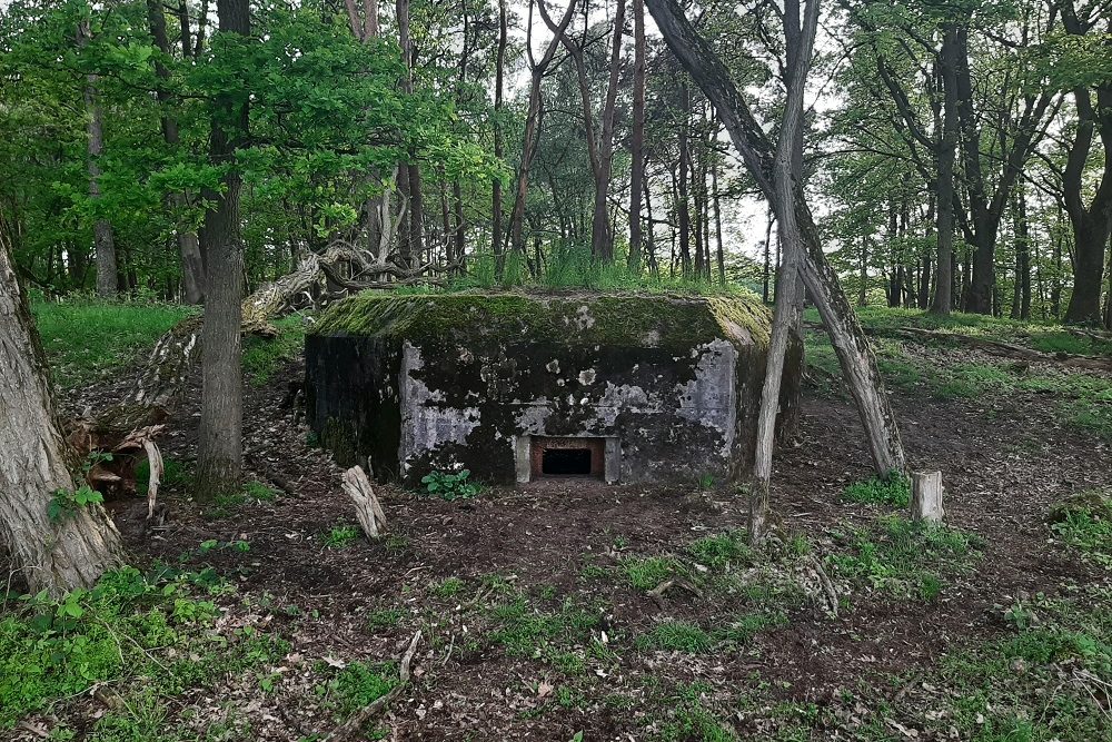 Peel-Raamstelling - B-casemate 24 #1