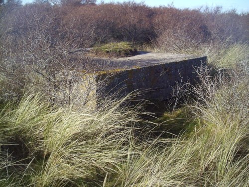 Bunker FW3/26 Tyninghame #1