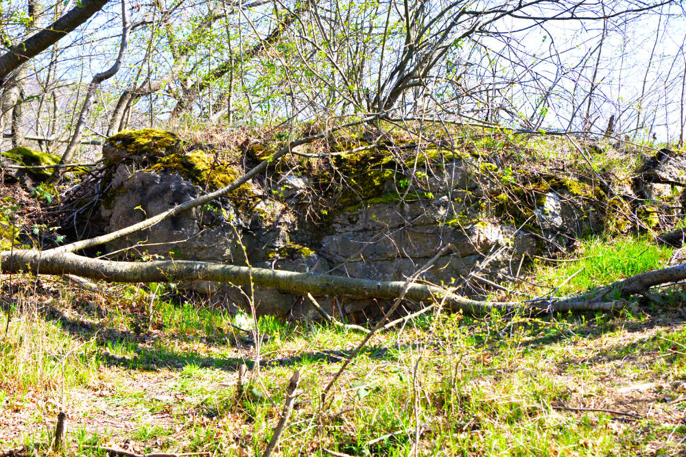 Bunker 309 Westwall Kermeter #3