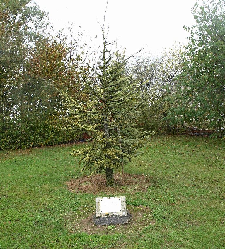 Herdenkingsboom 50e Verjaardag Terugkeer uit de Kampen