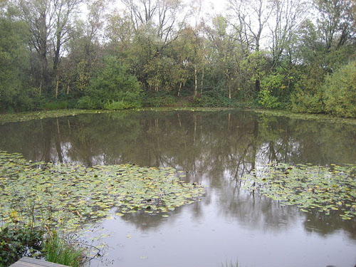 Lone Tree Crater #1