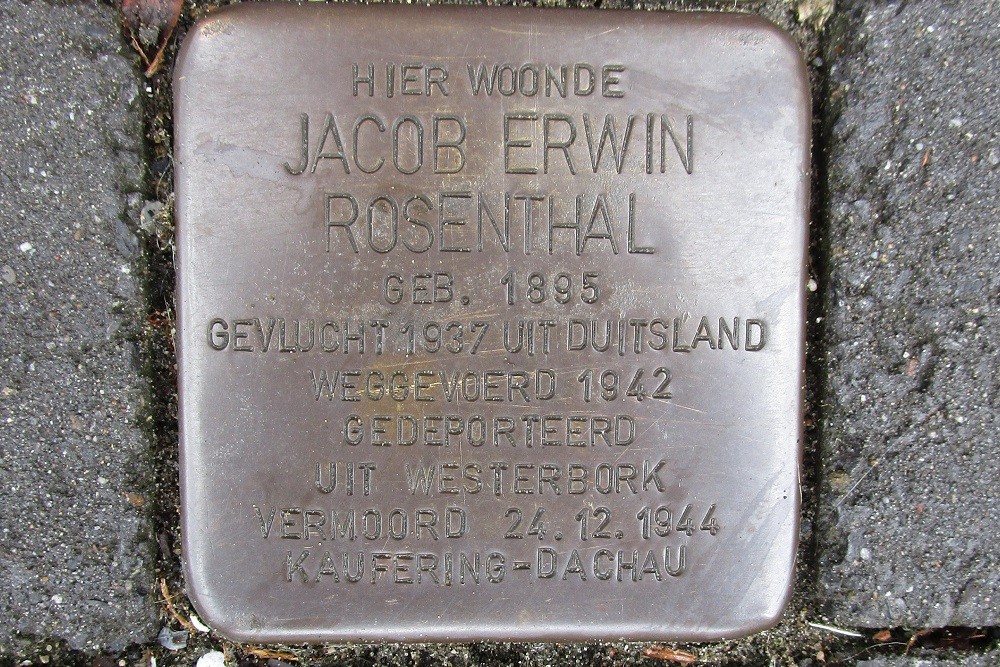 Stolpersteine Beethovenstraat 15 #3