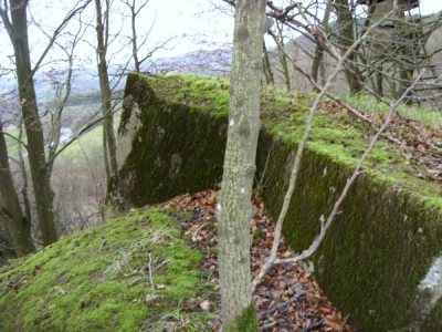 Westwall - Remains Bunker Irrel #2