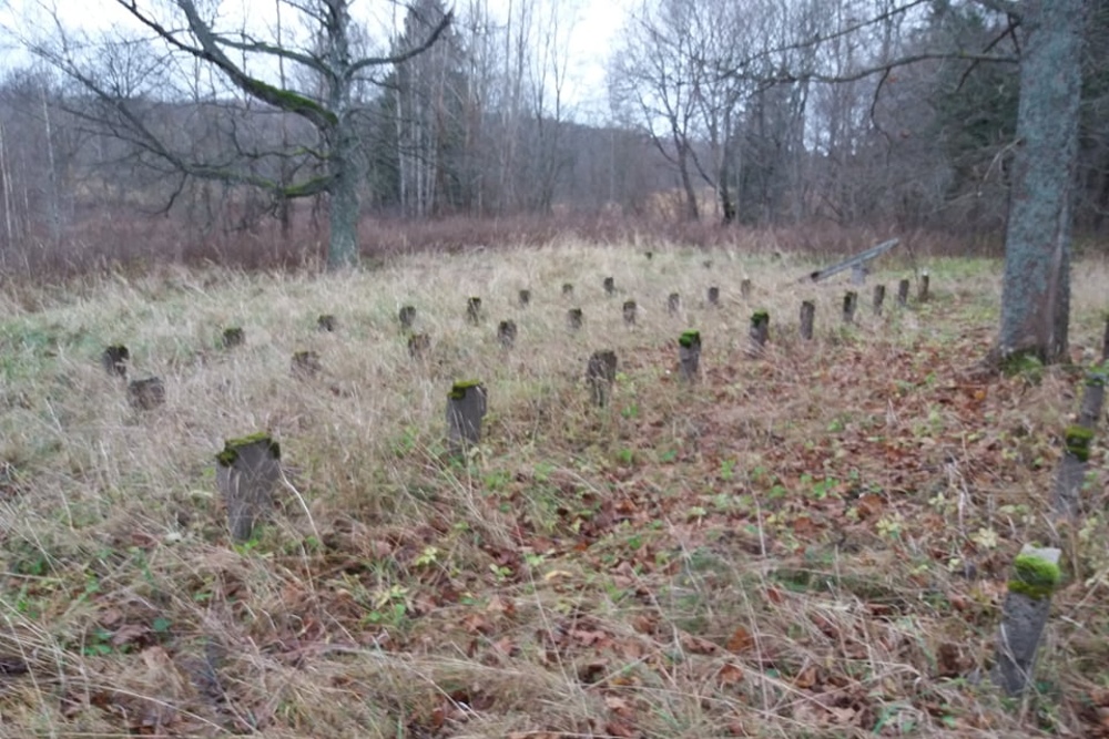 German War Cemetery Mirskikė #4