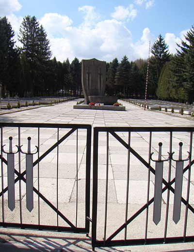 Russian-Polish War Cemetery Baligród #1