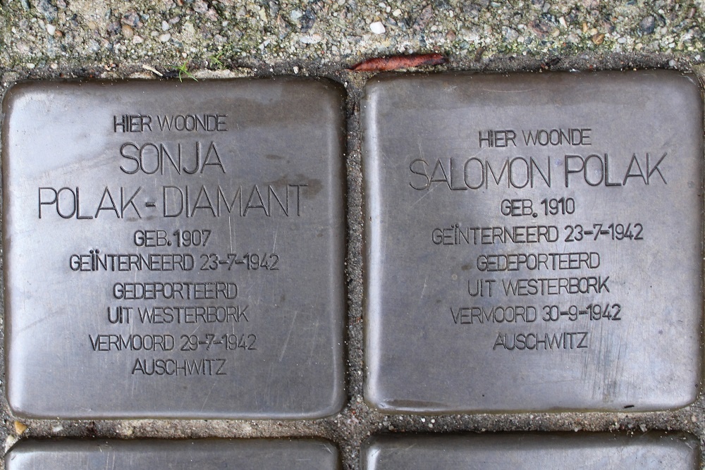 Stolpersteine Hygiaplein 19 #2